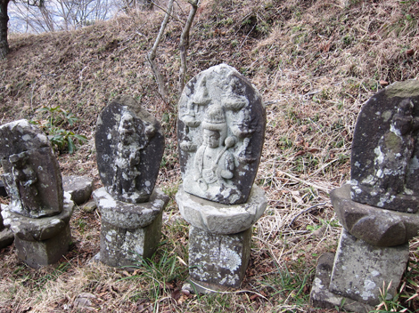 20190214hike (353)